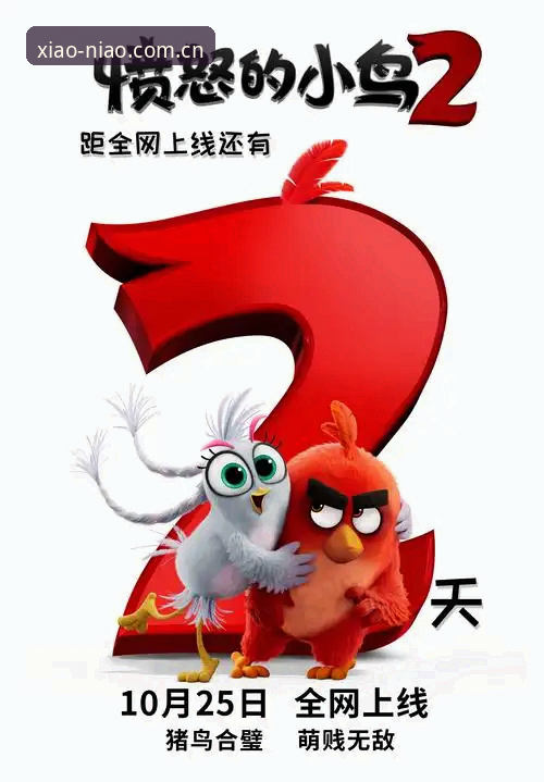 明明输入了网址，为什么中文版小鸟平台登录中文官方站访问还是失败？问题到底出在哪？